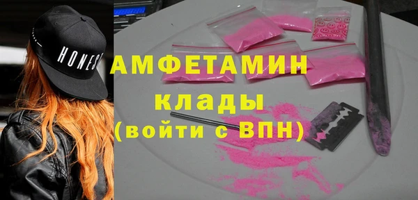 гидра Богородицк
