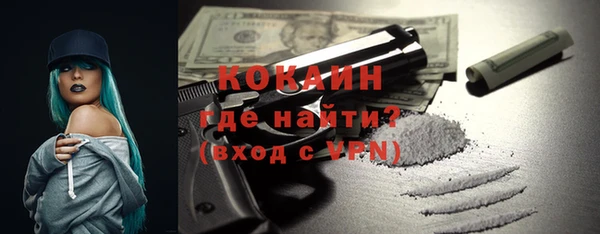 гидра Богородицк
