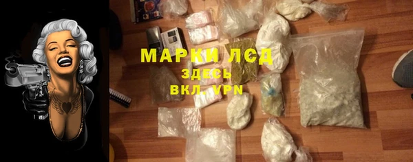 гидра Богородицк