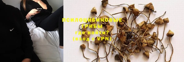синтетический гашиш Богородск