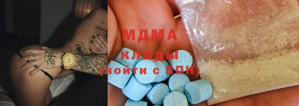 гидра Богородицк
