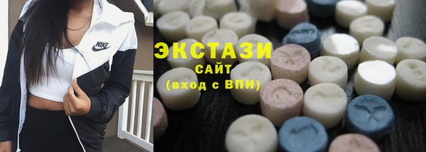 гидра Богородицк