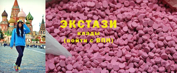 гидра Богородицк