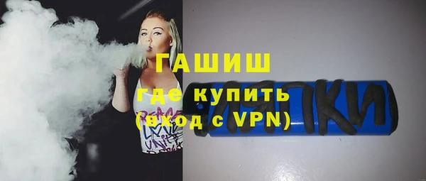 гидра Богородицк
