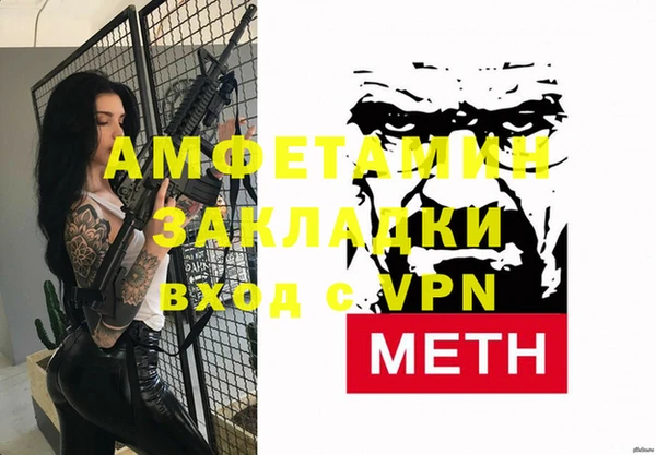 гидра Богородицк