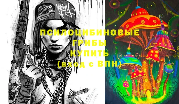 синтетический гашиш Богородск
