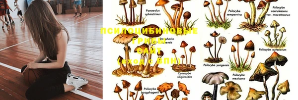 синтетический гашиш Богородск