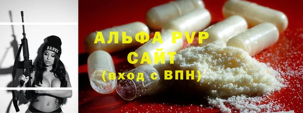 гидра Богородицк
